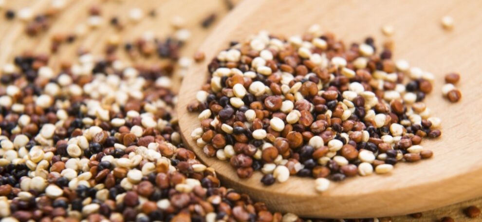 Quinoa – Veelzijdig en gezond! Quinoa – Veelzijdig en gezond!